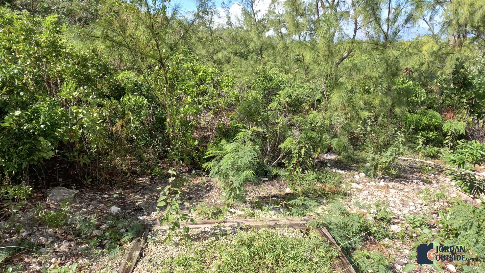 Newton's Cay Beach, Long Island, Bahamas