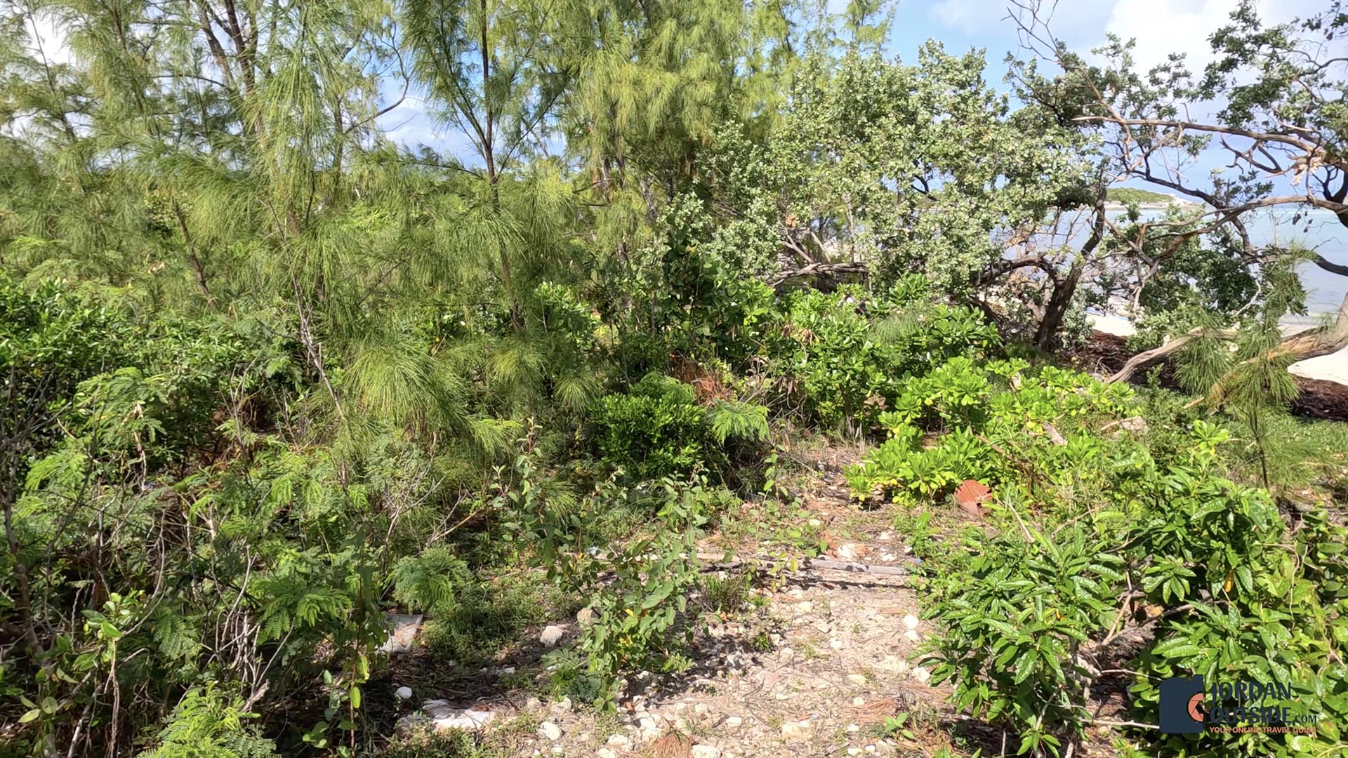 Newton's Cay Beach, Long Island, Bahamas