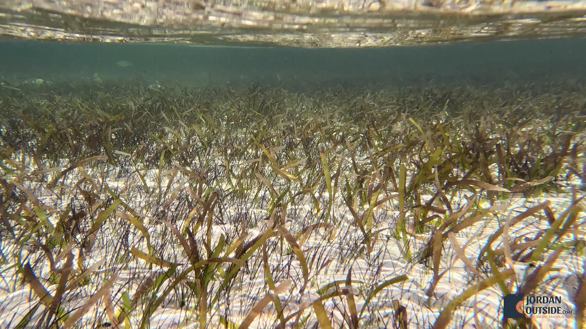 Newton's Cay Beach, Long Island, Bahamas