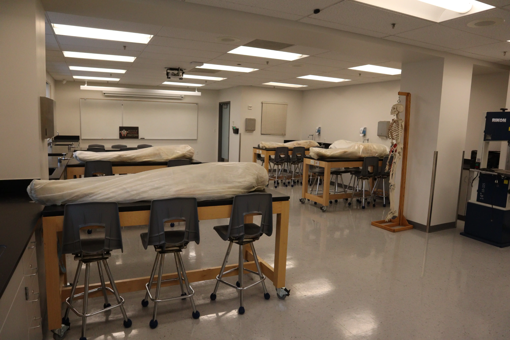 Institute of Human Anatomy Lab
