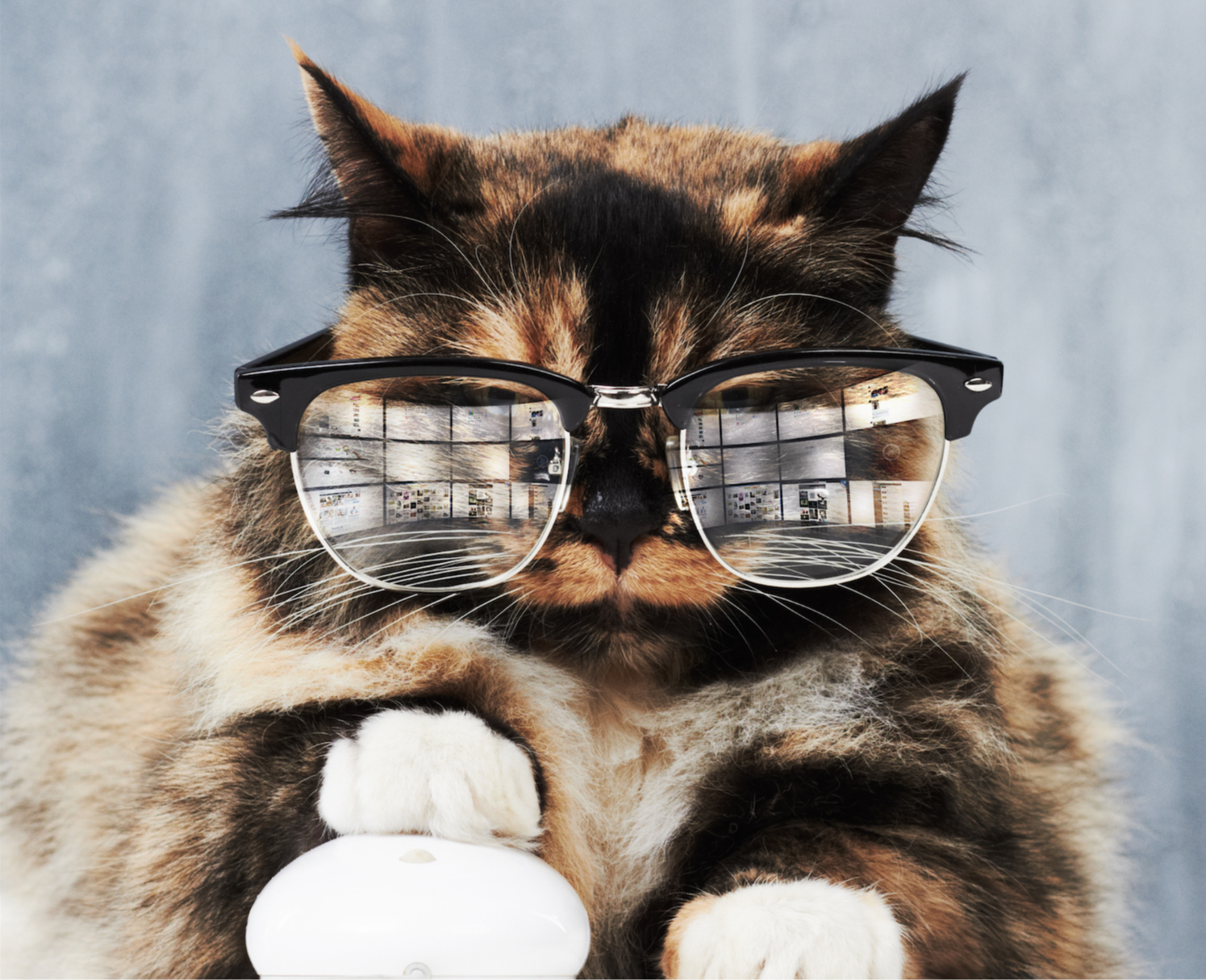 photo of a woman upset and looking at her computer