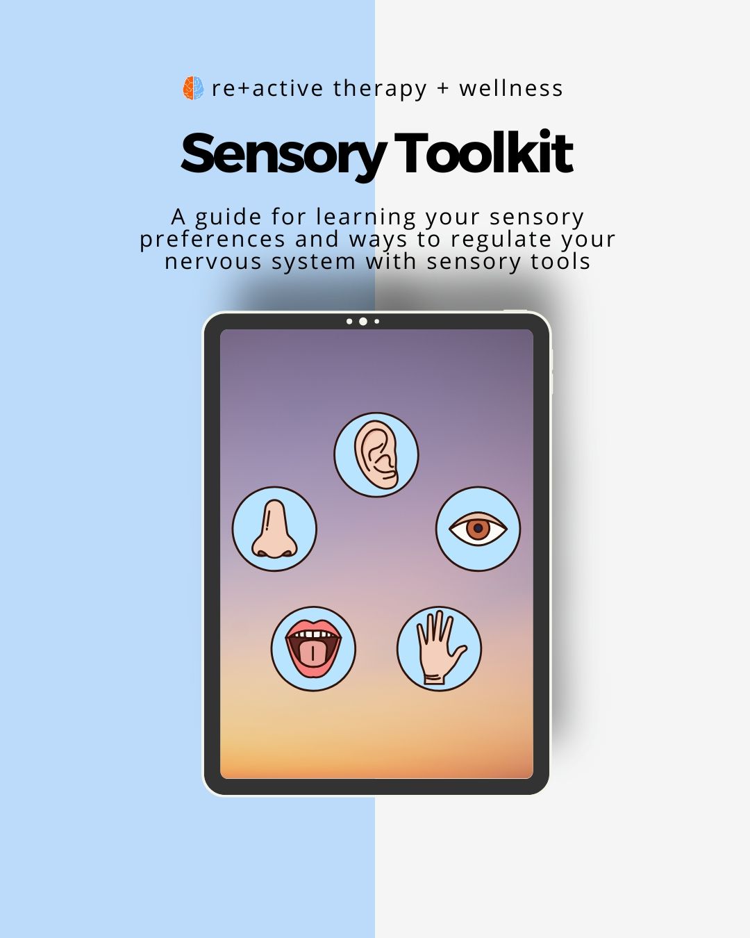 Sensory Tool Kit - FND Masterclass Reactive Pt