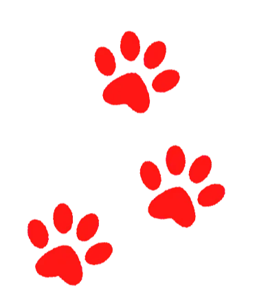 Search tactics save lives