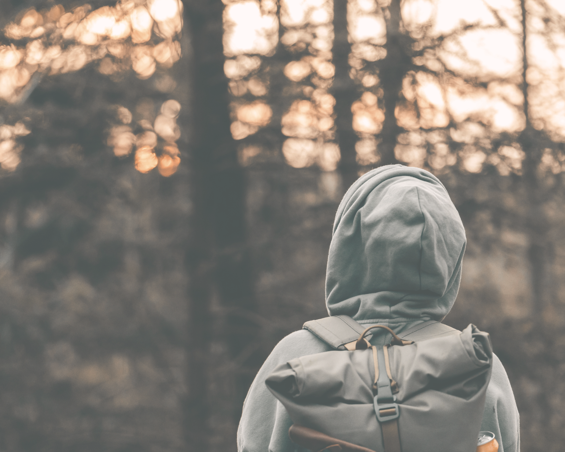 Juurilla valmennus sijaisperhe perhehoitajan jaksaminen tuki