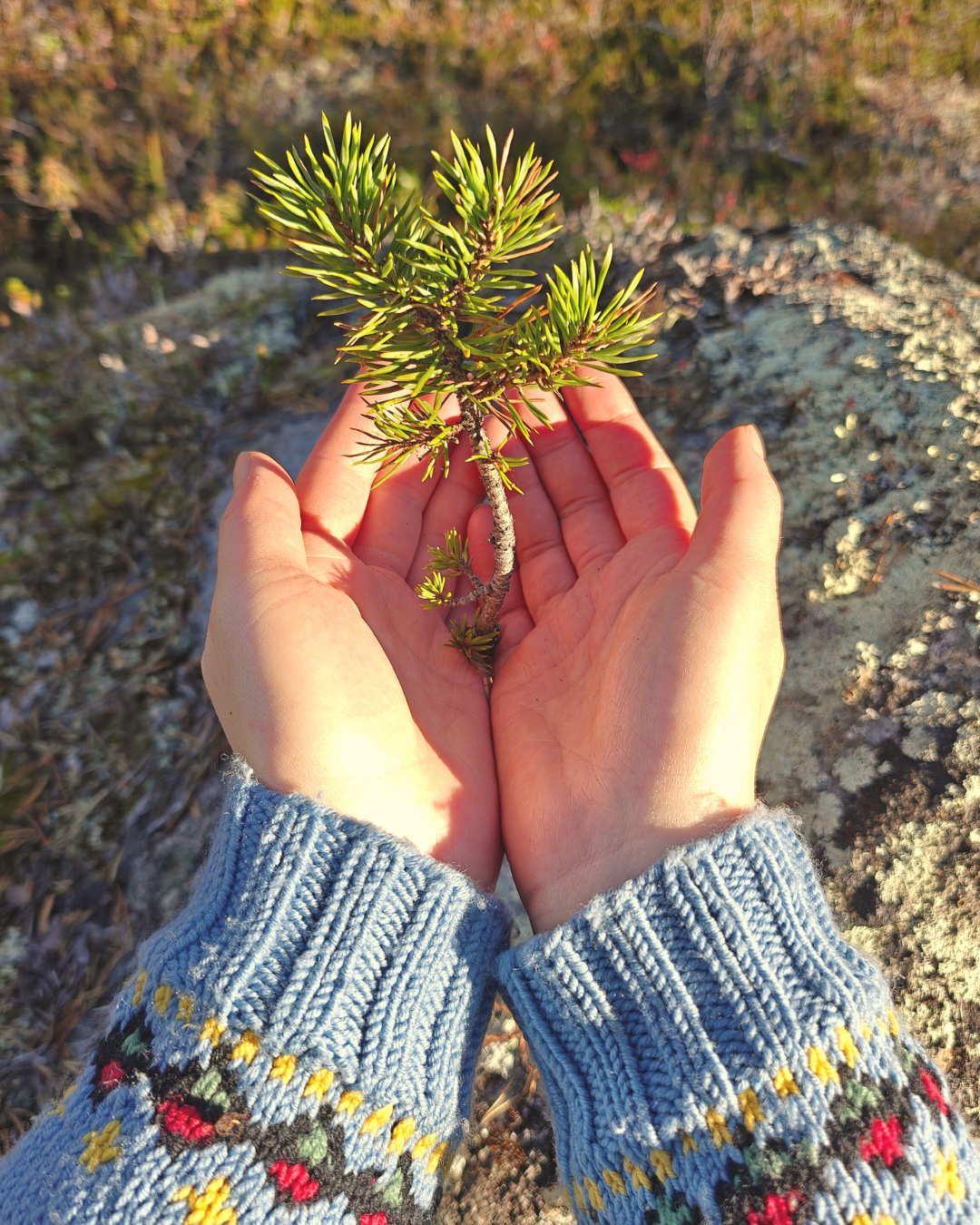 perhehoitajan jaksaminen, perhehoitajien valmennus, hyvinvointi