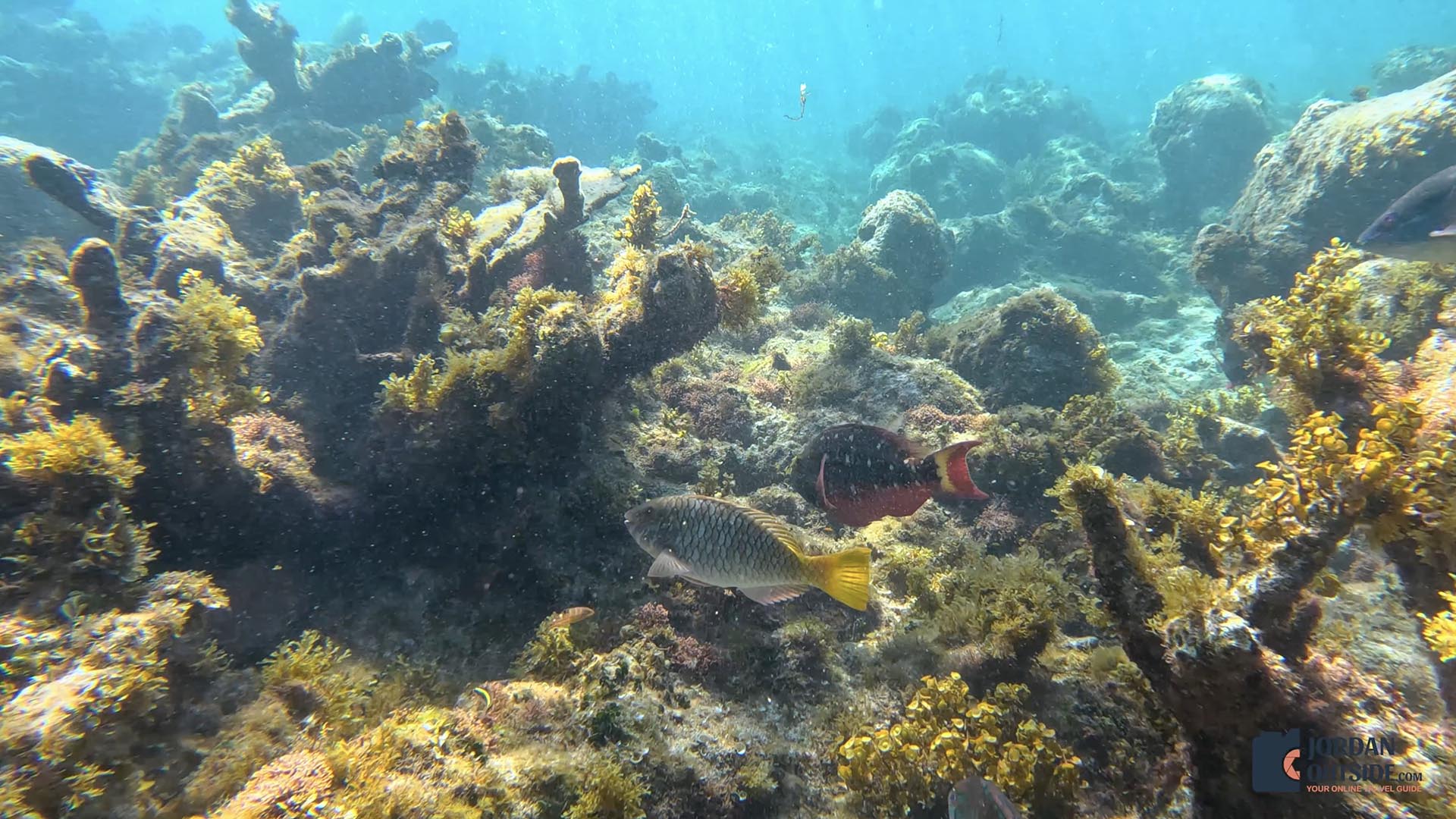 Poseidon's Point, Long Island, Bahamas
