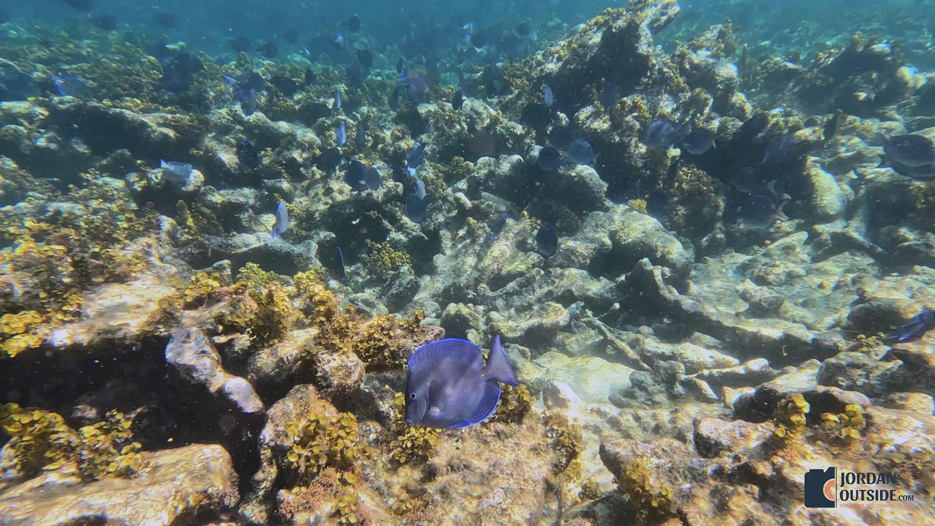 Poseidon's Point, Long Island, Bahamas