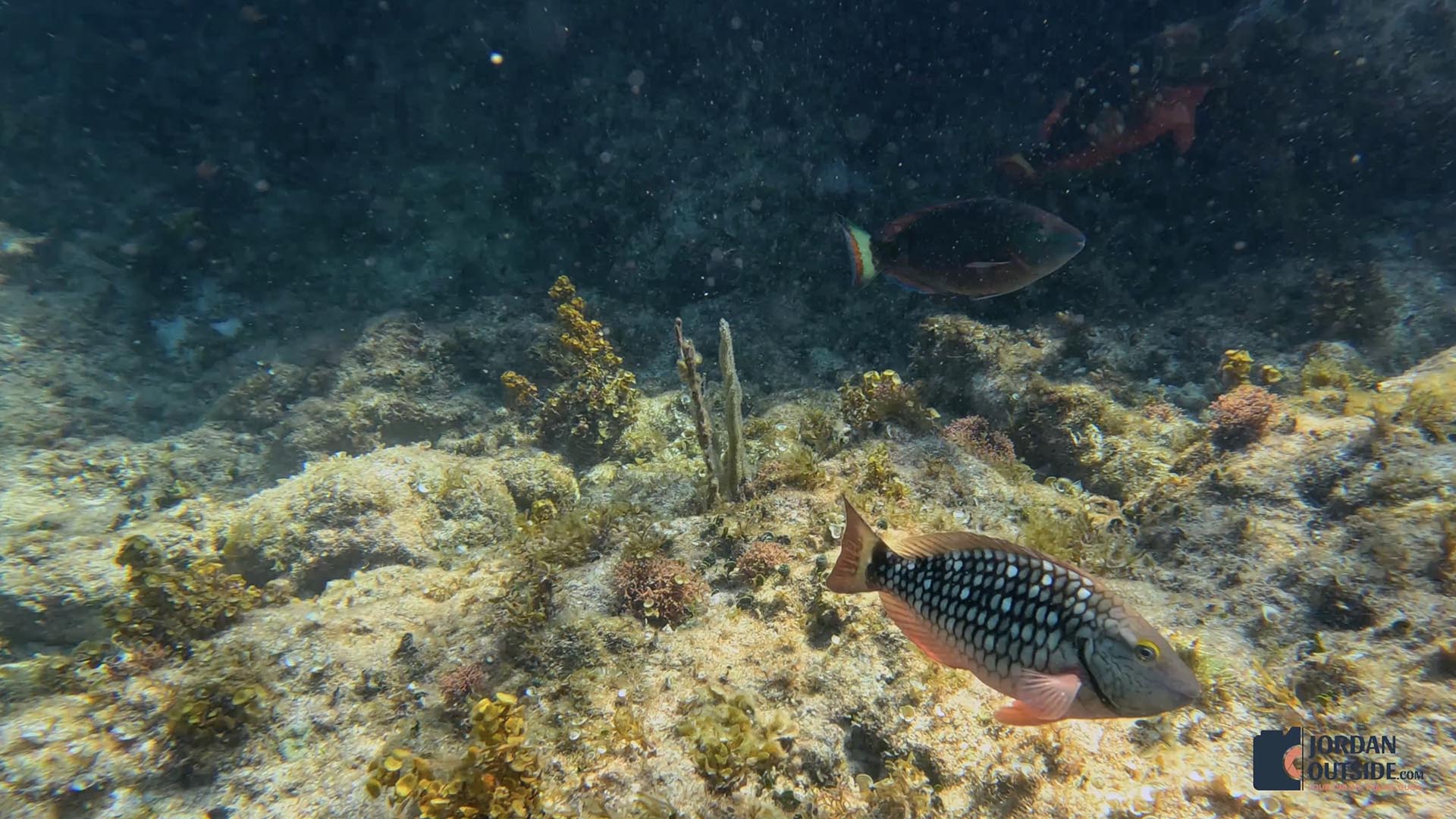 Poseidon's Point, Long Island, Bahamas