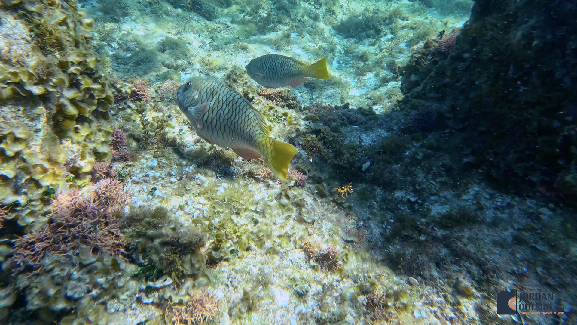 Poseidon's Point, Long Island, Bahamas