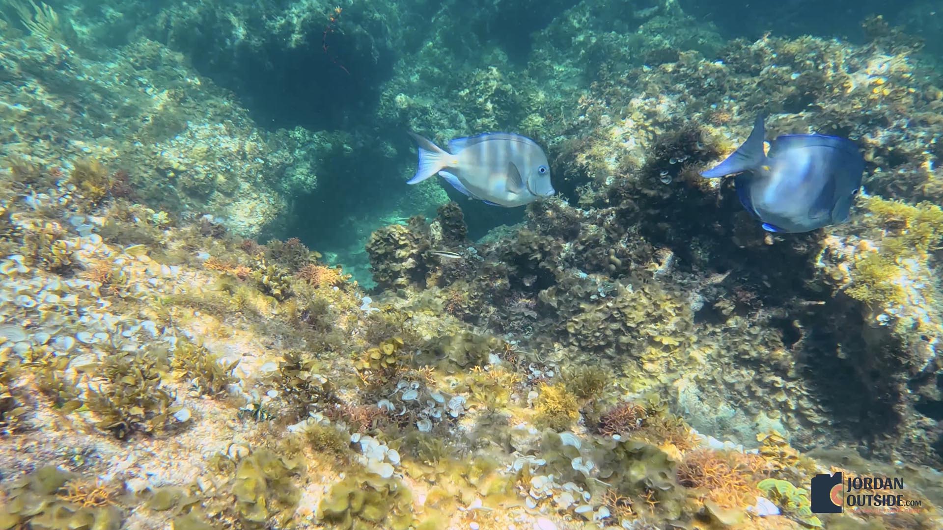 Poseidon's Point, Long Island, Bahamas
