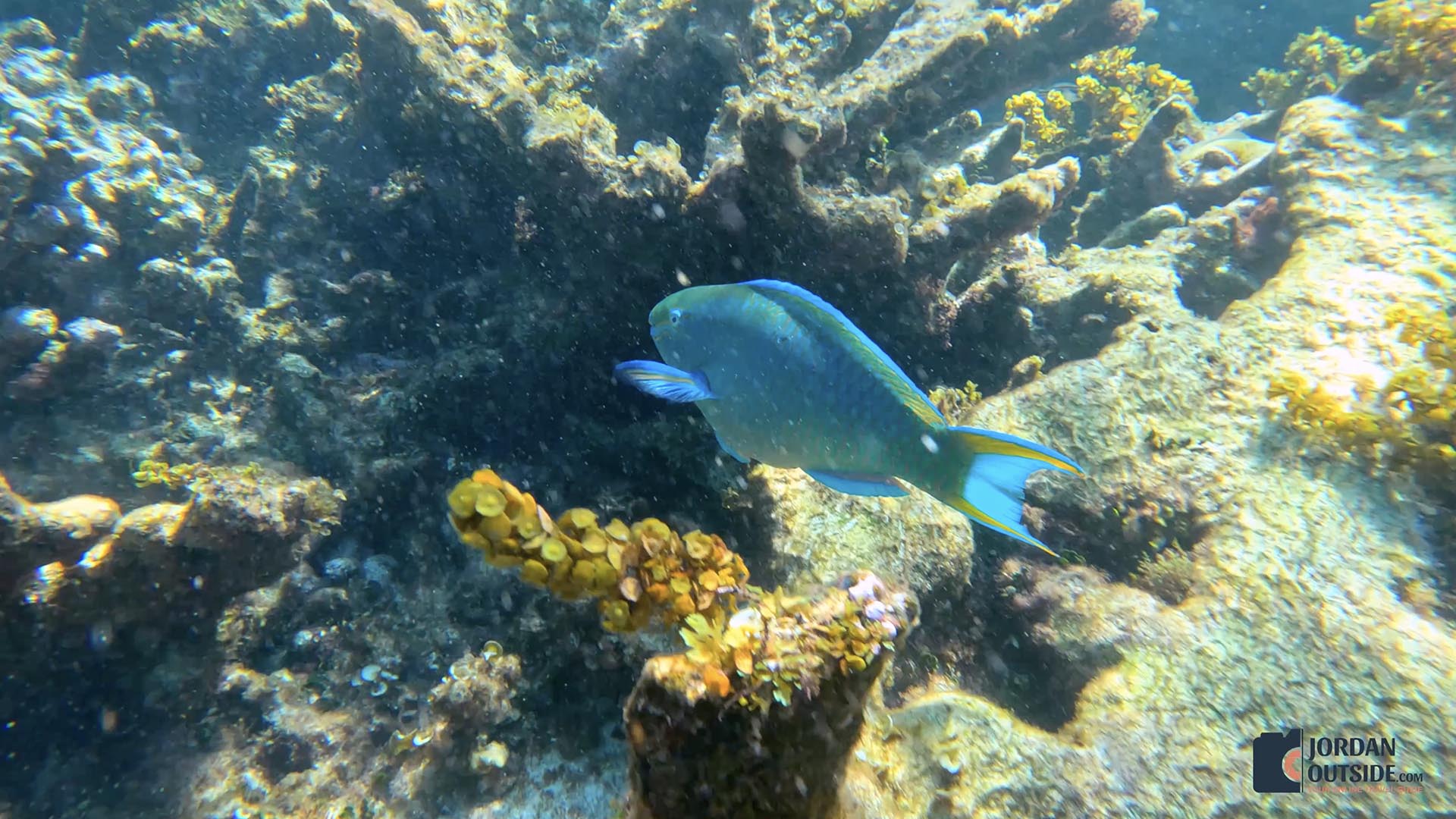 Poseidon's Point, Long Island, Bahamas