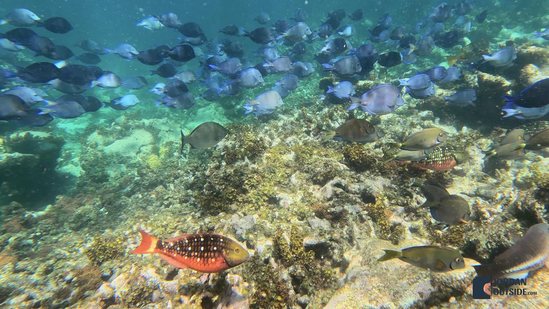 Poseidon's Point, Long Island, Bahamas