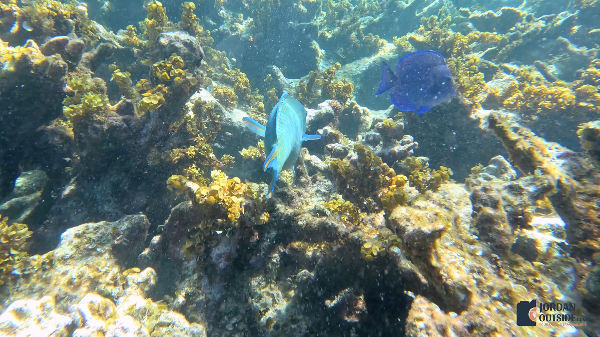Poseidon's Point, Long Island, Bahamas