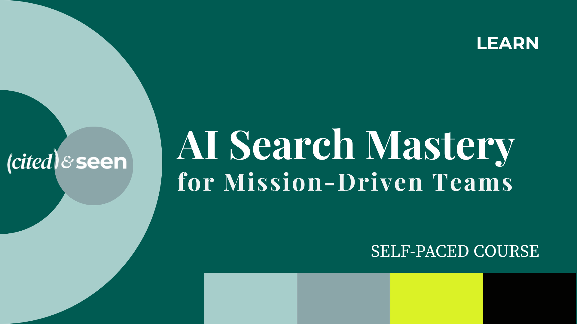 AI Search Mastery of Mission-Driven Teams - Course