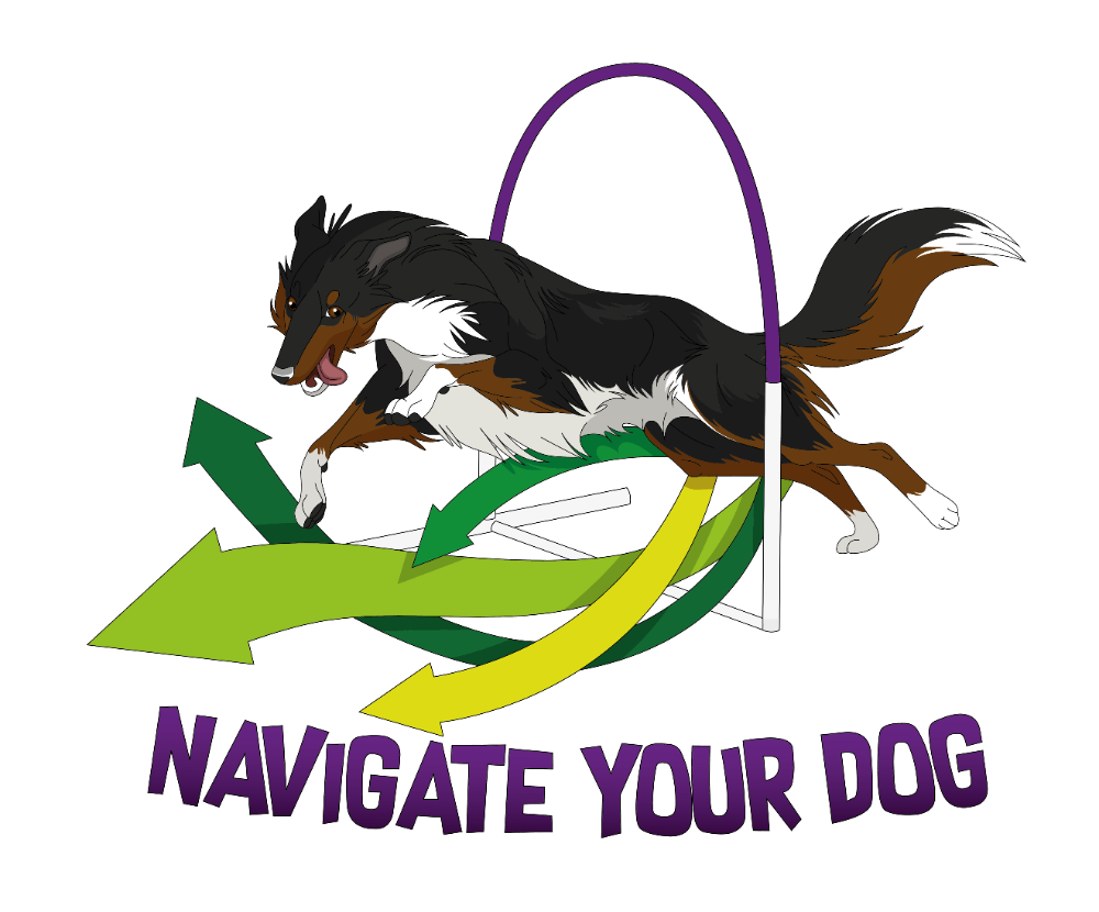 *navigate your dog*