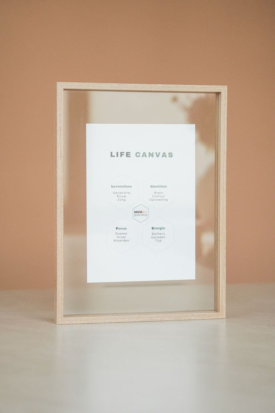 Levensfases - HR - Human Journey