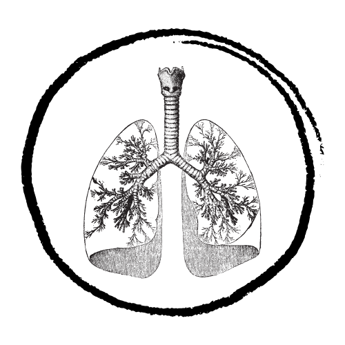Clearer breath through the palate, throat, and lungs