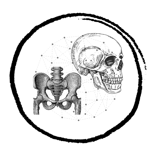 Deepened sacrum-to-skull connection