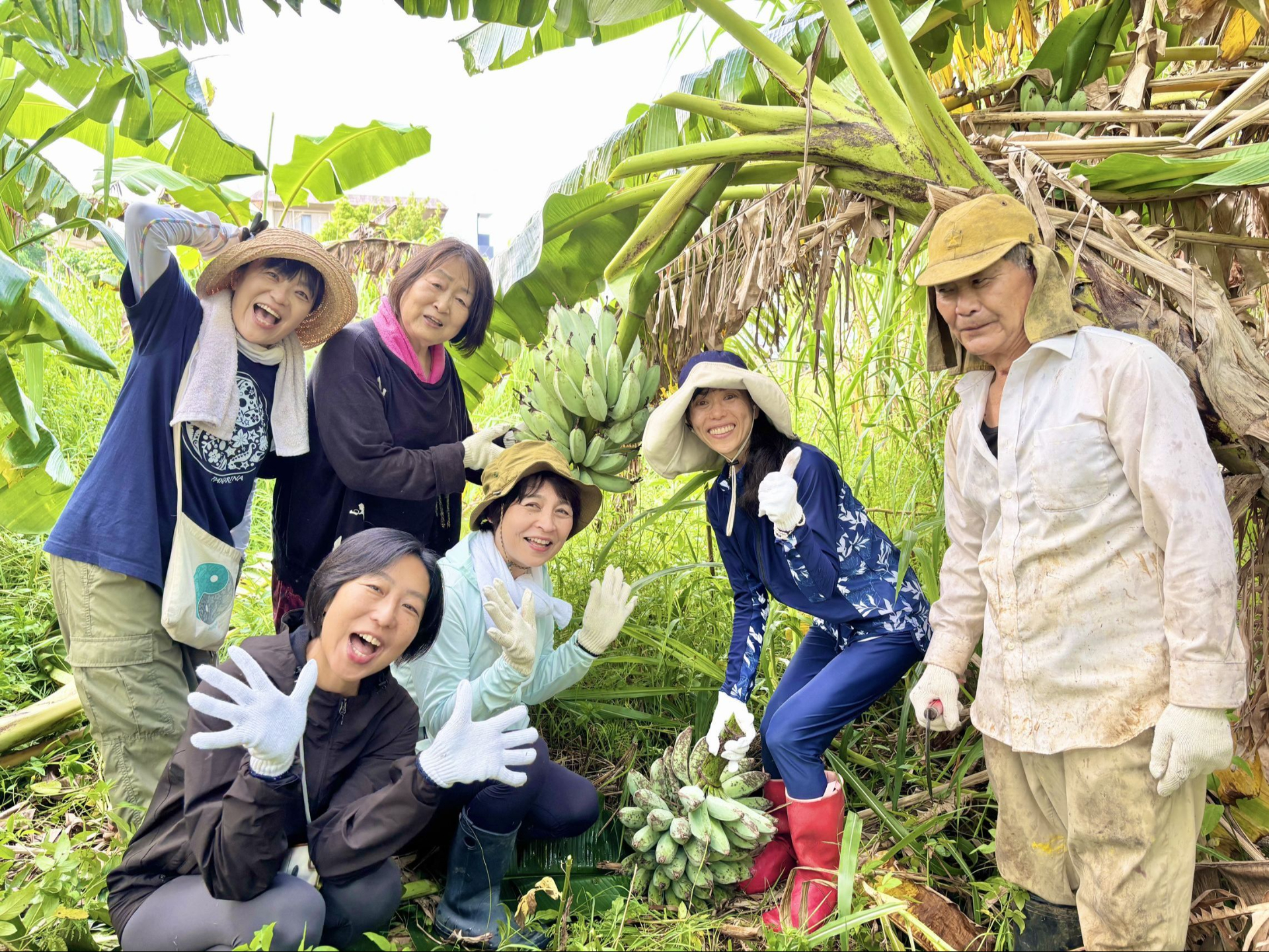 ローフード料理