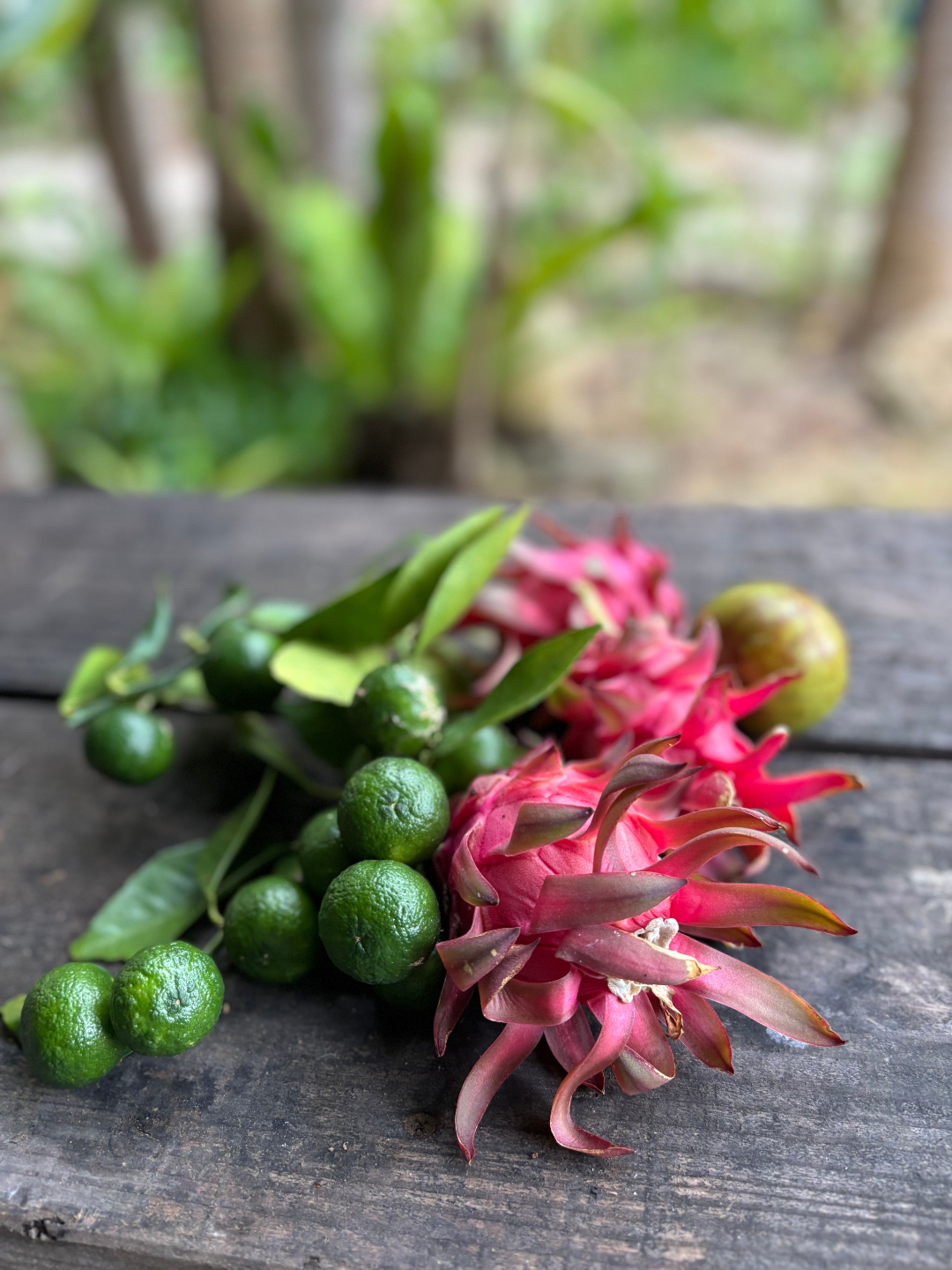 ローフード料理