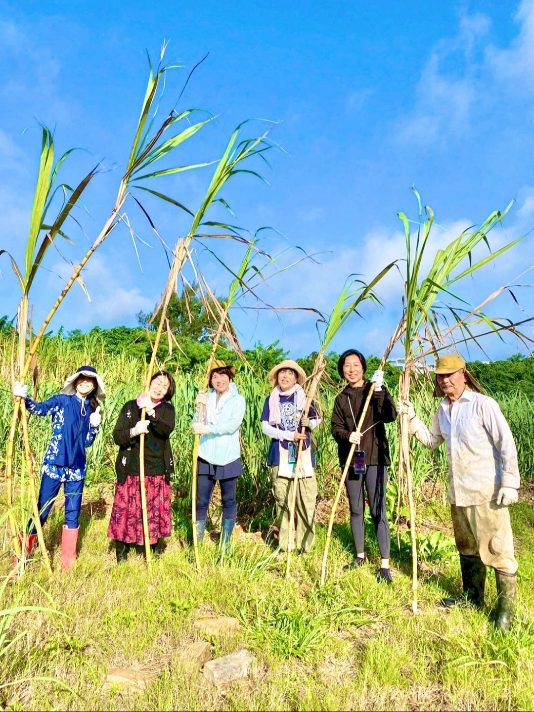 ローフード料理