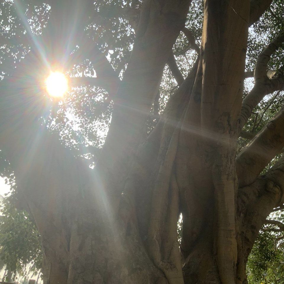 tantra-essence-event-tantra-massage-practitioner-training-03