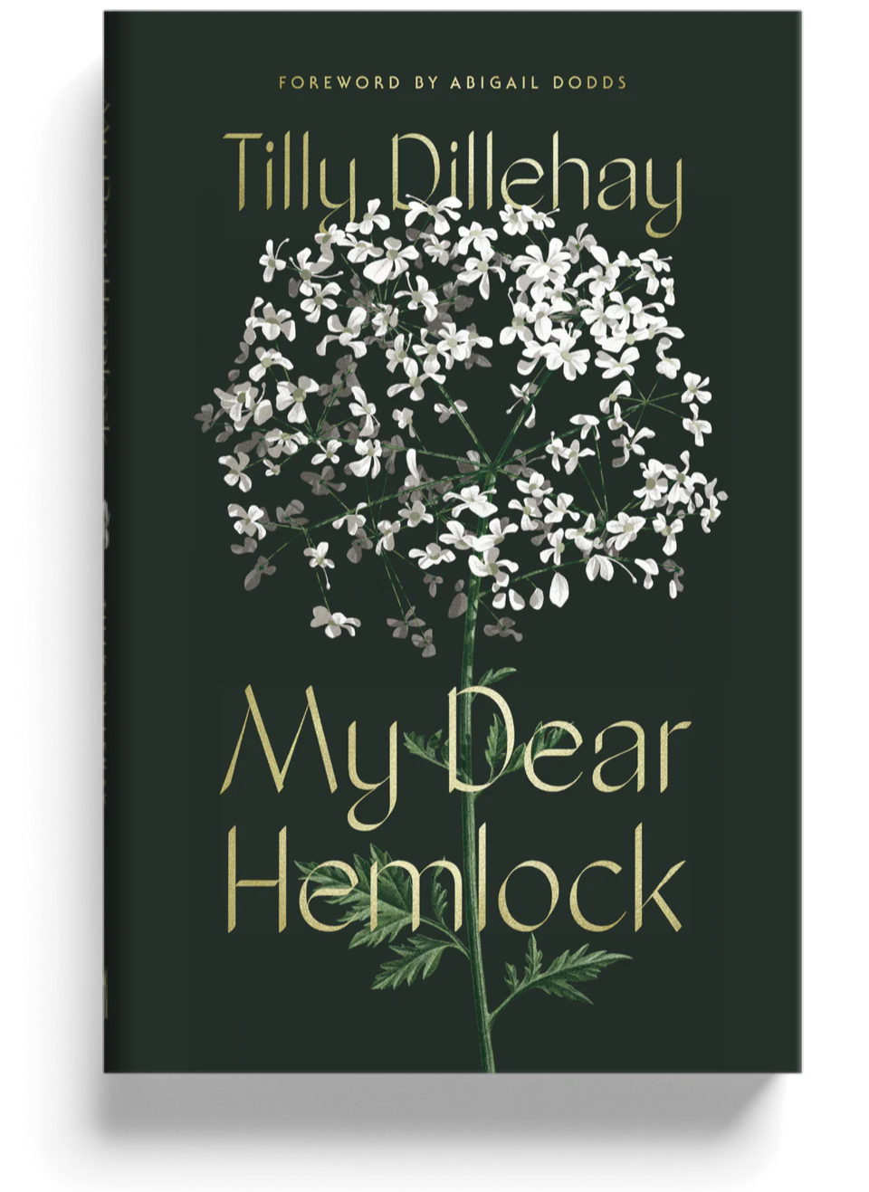 My Dear Hemlock by Tilly Dillehay