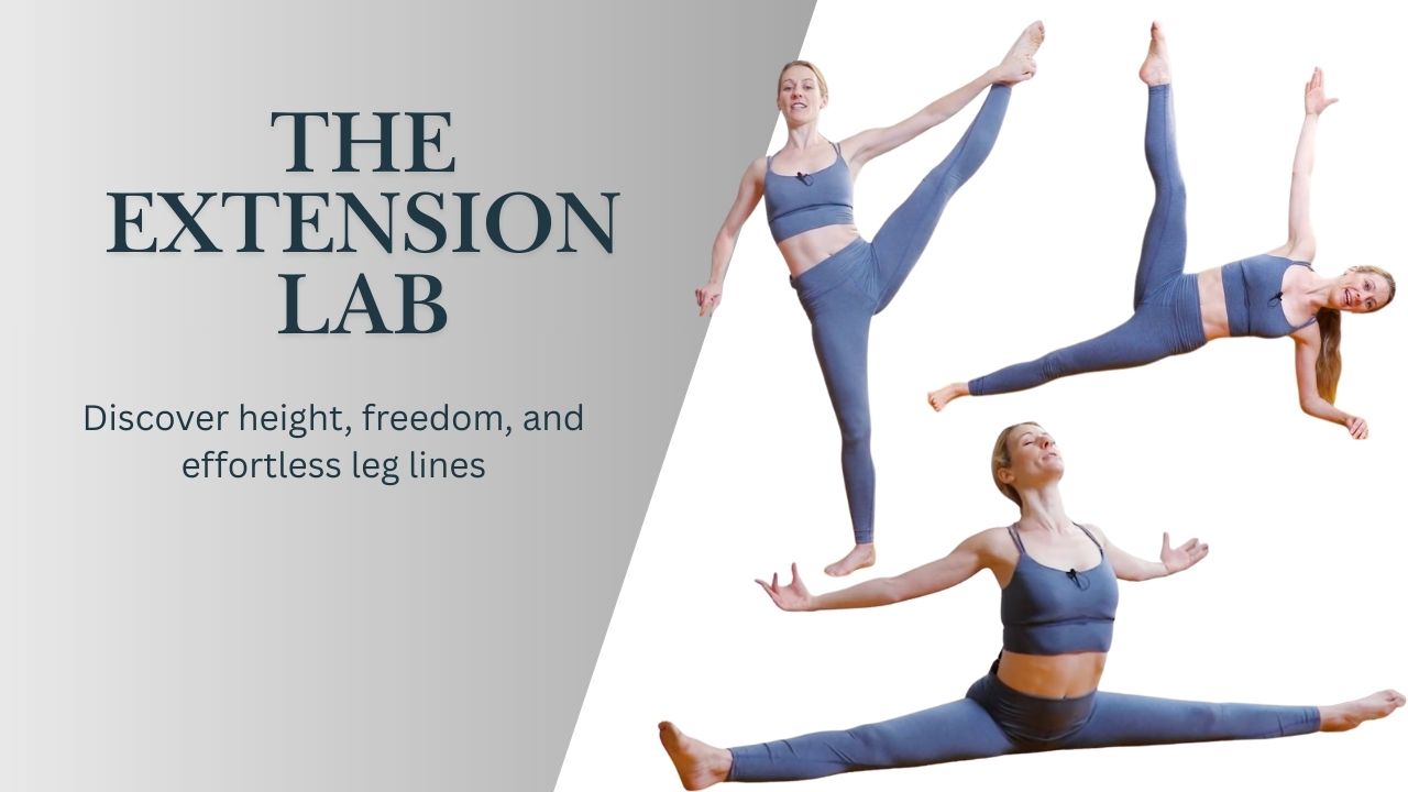 The Extension Lab