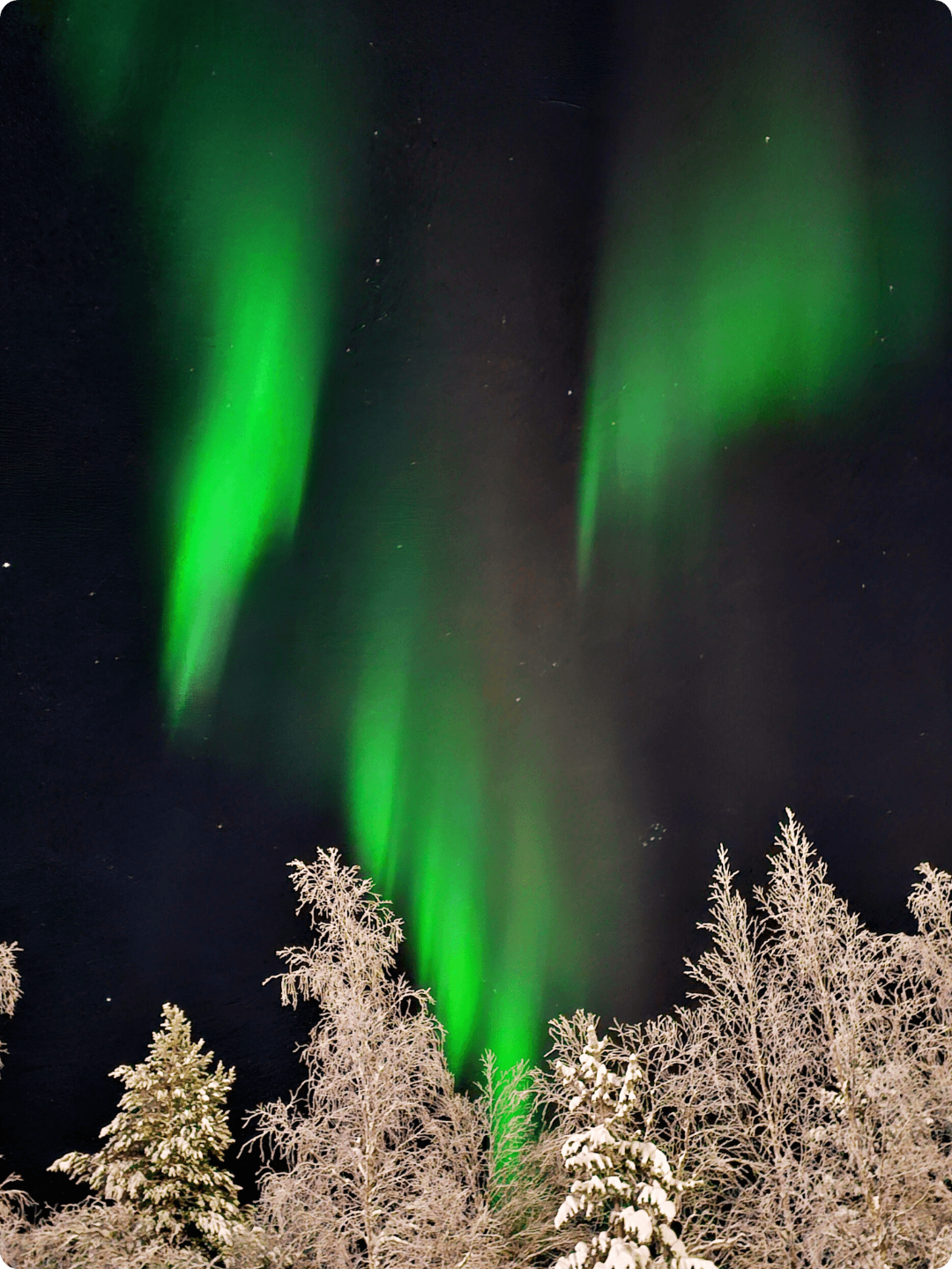 northern lights over snowy landscape in Finnish Lapland during polar night