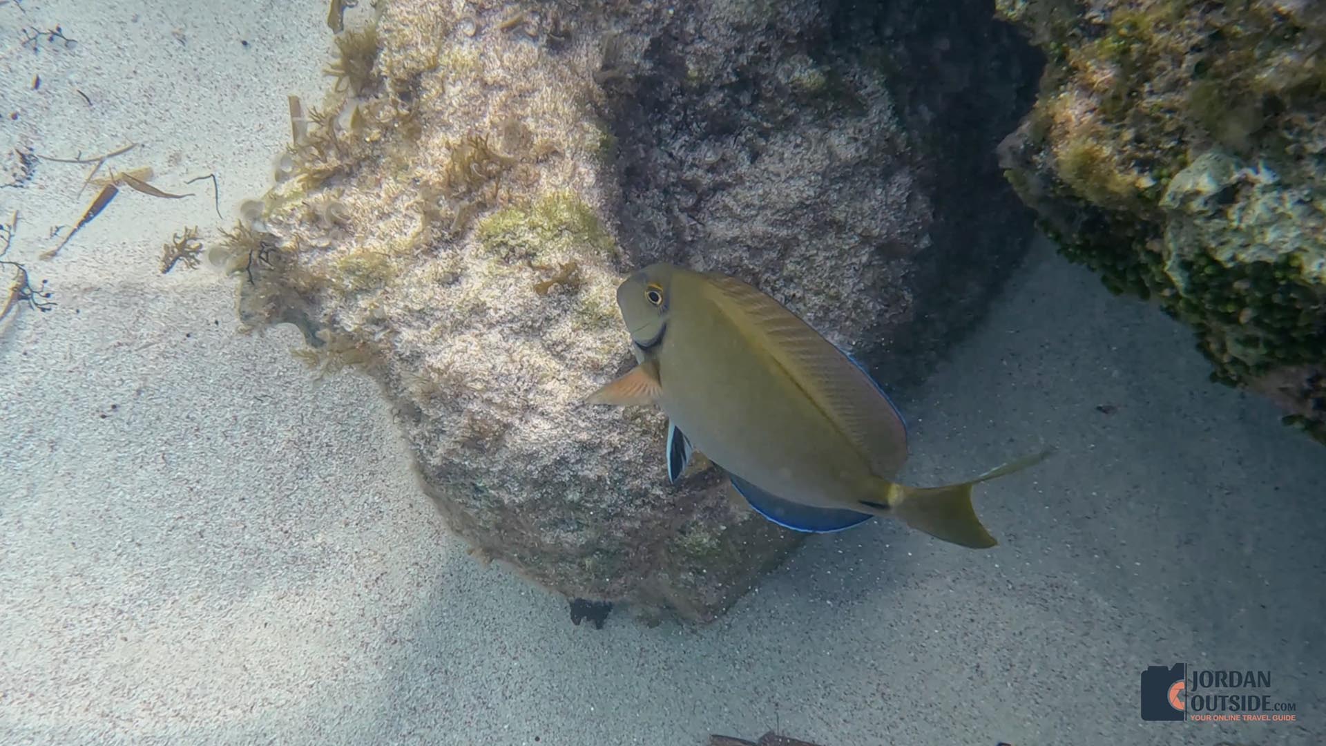 Sunrise Bay Beach, Long Island, Bahamas