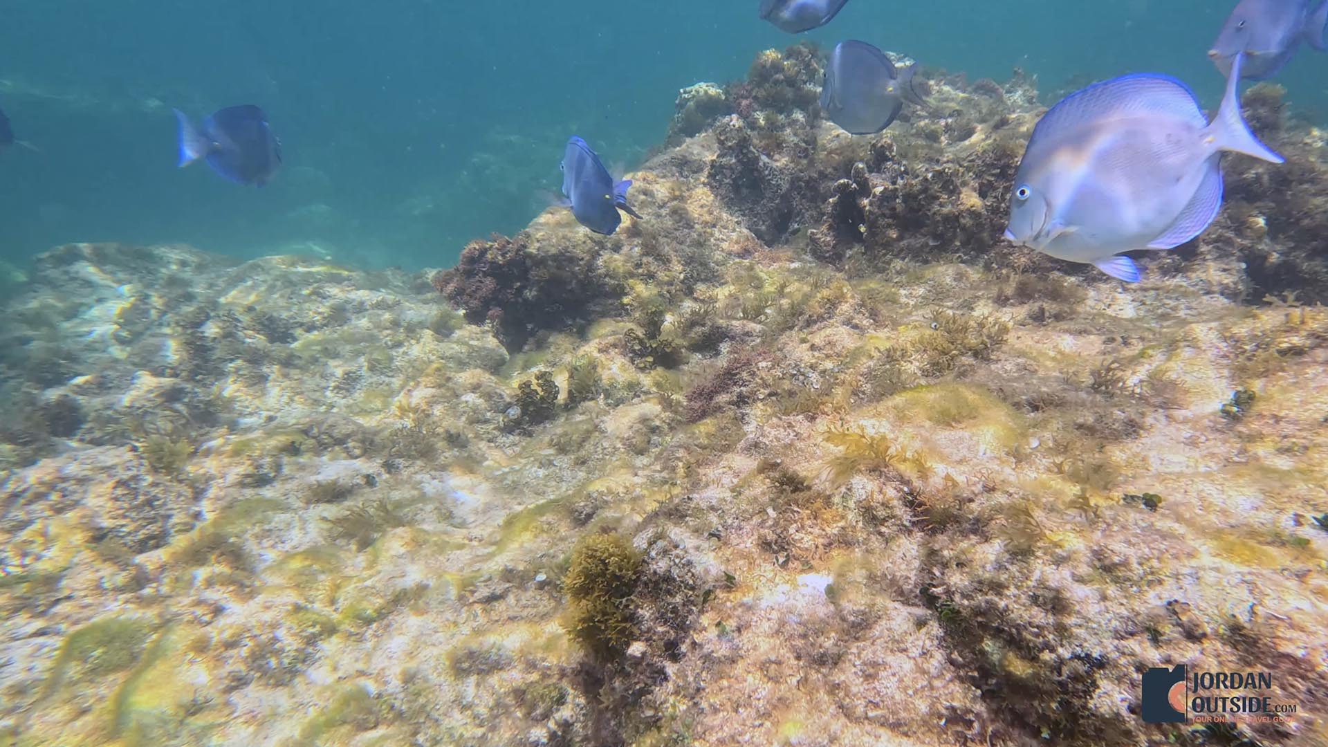 Sunrise Bay Beach, Long Island, Bahamas