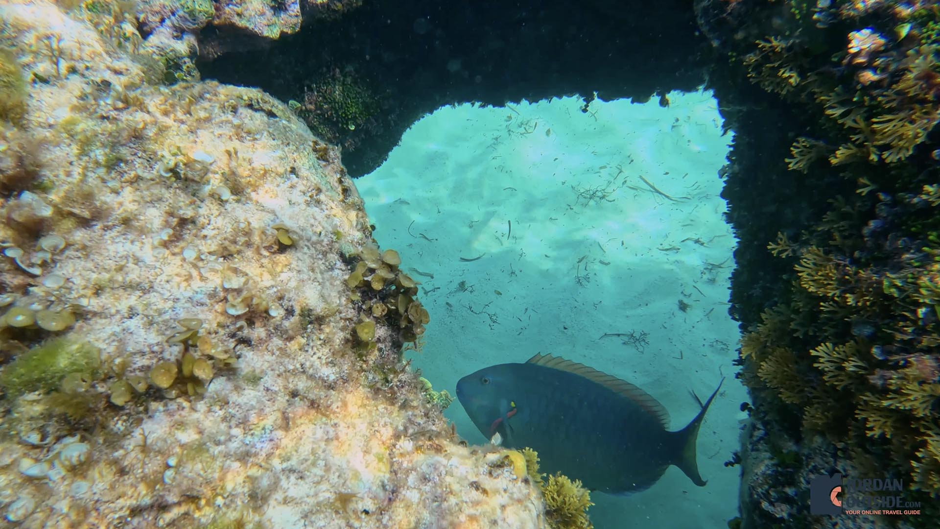 Sunrise Bay Beach, Long Island, Bahamas