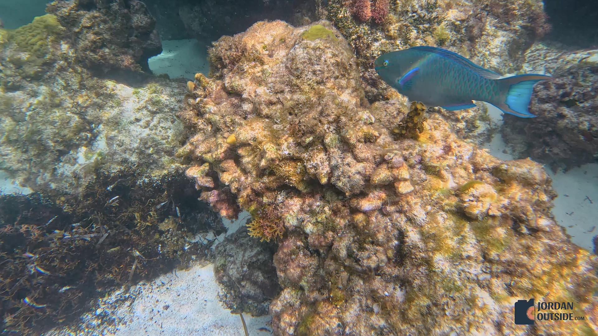 Sunrise Bay Beach, Long Island, Bahamas