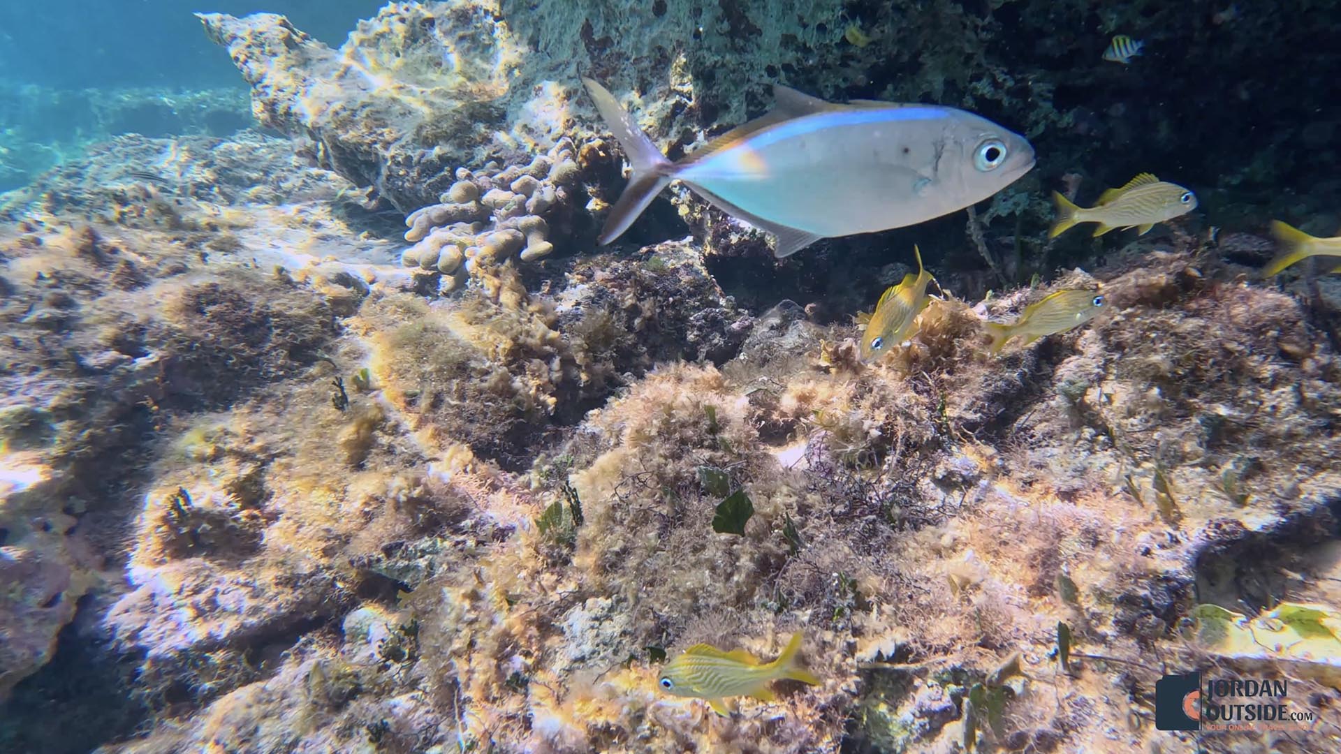 Dean's Blue Hole, Long Island, Bahamas