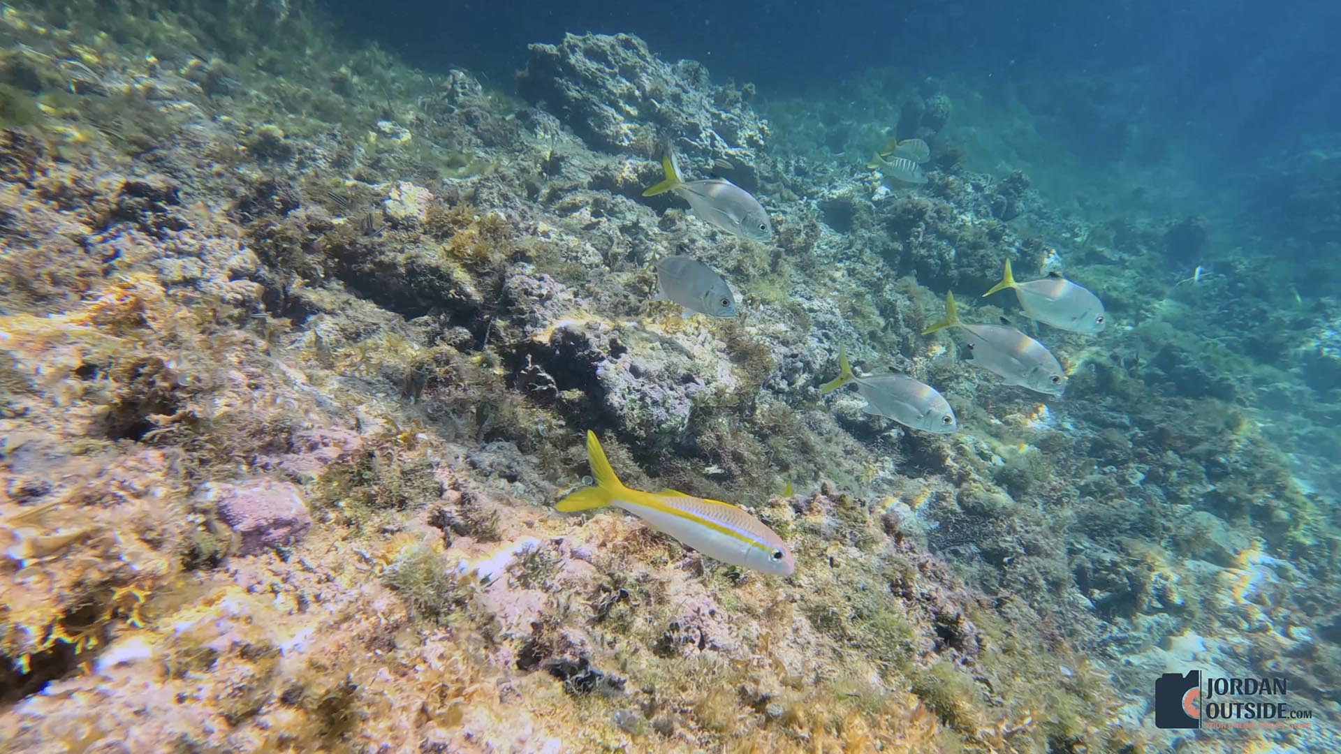 Dean's Blue Hole, Long Island, Bahamas