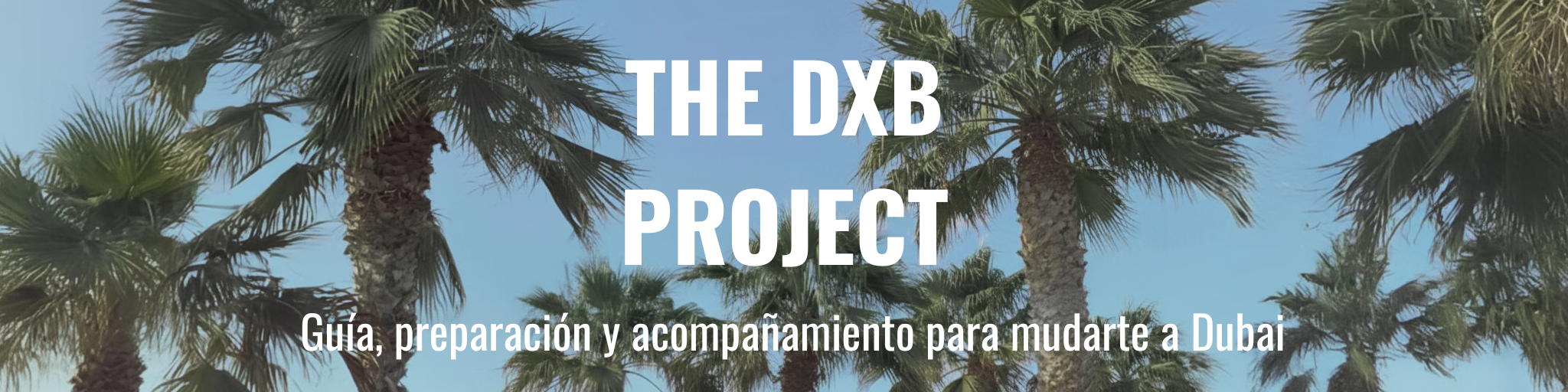 The DXB Project HablandoLatino: Guía Dubai español preparación oportunidades playa