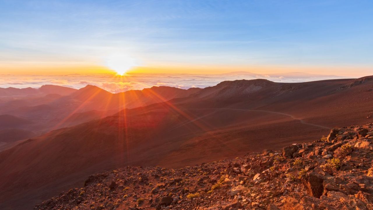 A tropical beach with palm trees, white sand, and turquoise water under a blue sky with scattered clouds. Full Body Energy Orgasm Retreat 