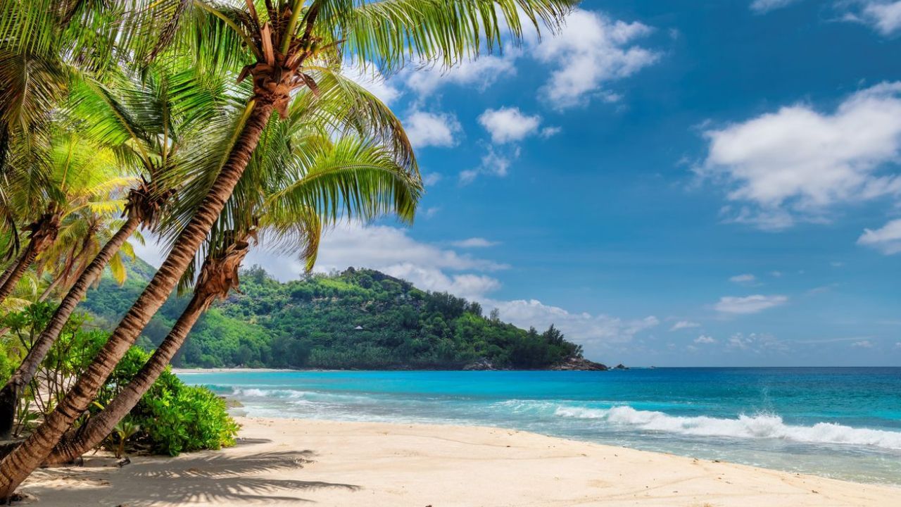 A tropical beach with palm trees, white sand, and turquoise water under a blue sky with scattered clouds. Full Body Energy Orgasm Retreat 