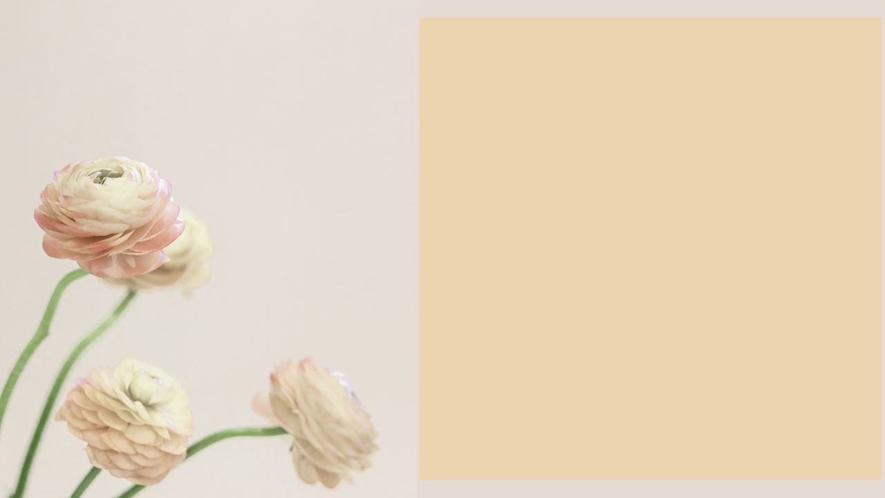 Woman on top of a mountain celebrating success