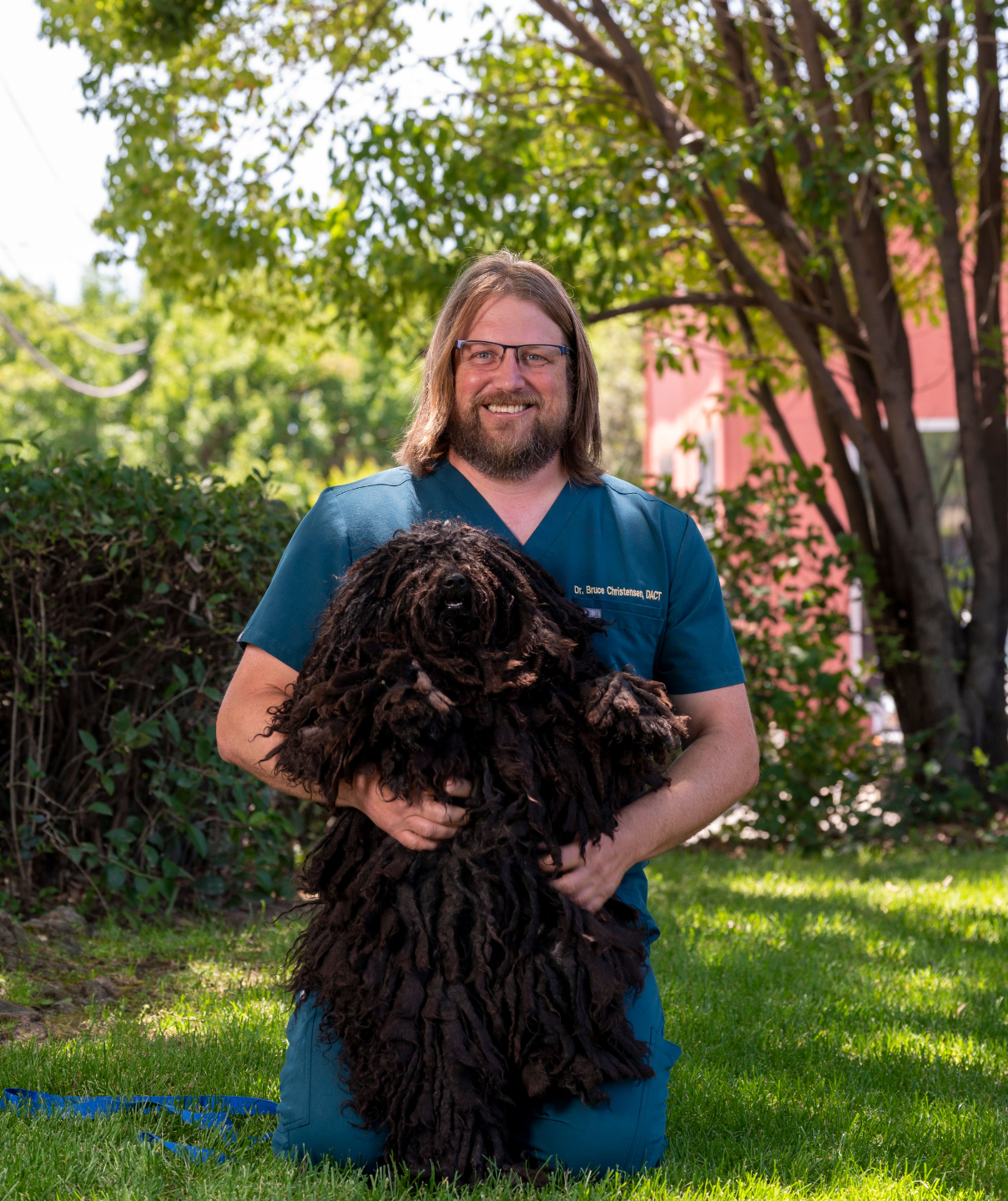 RACE Approved Online CE for Veterinary Continuing Education