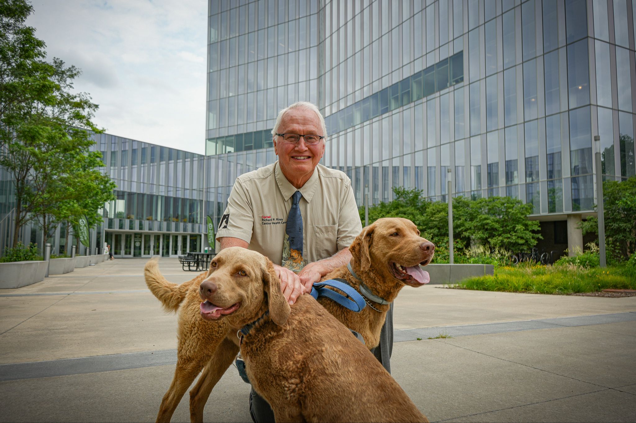 RACE Approved Online CE for Veterinary Continuing Education