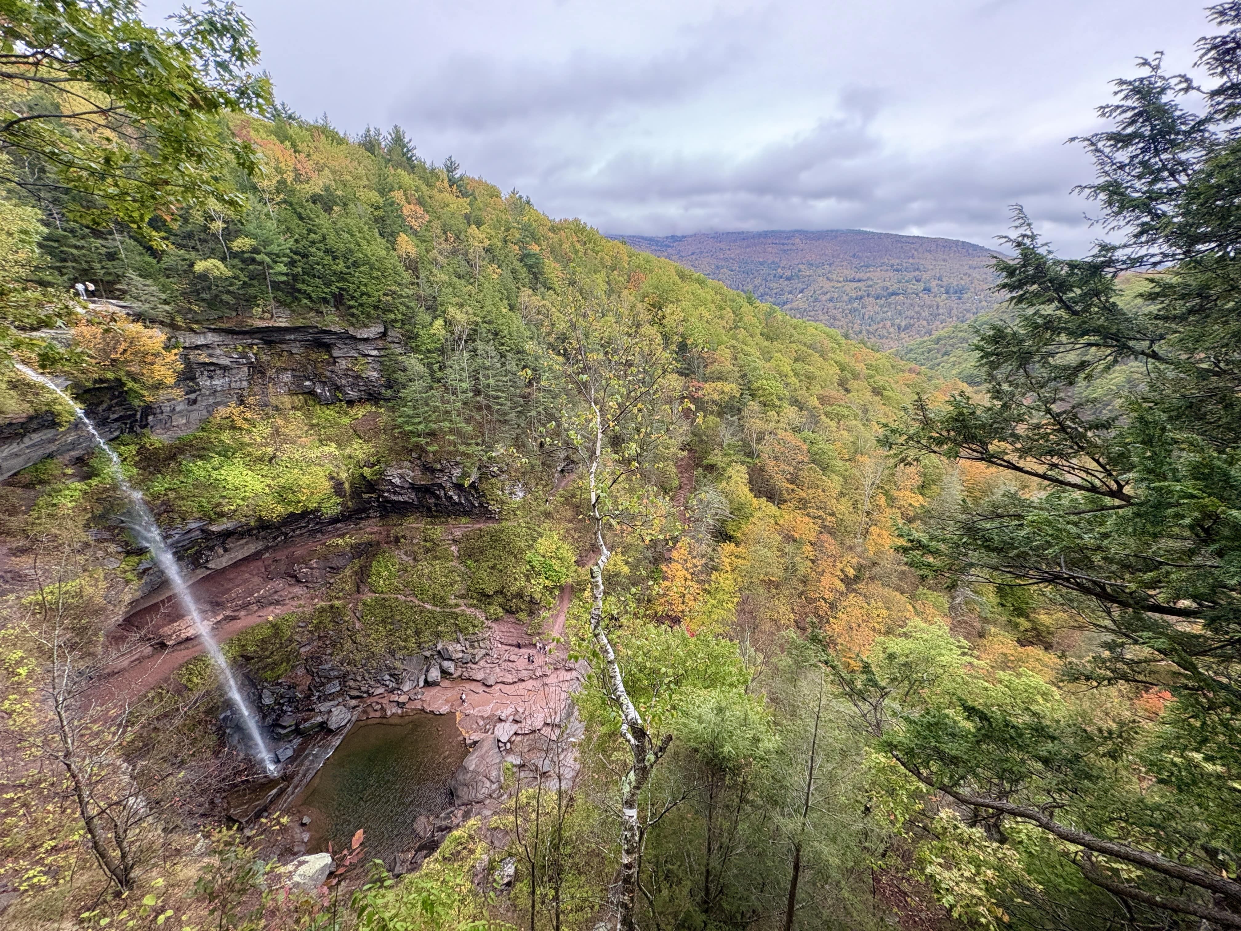 foliage at kaaterskill falls