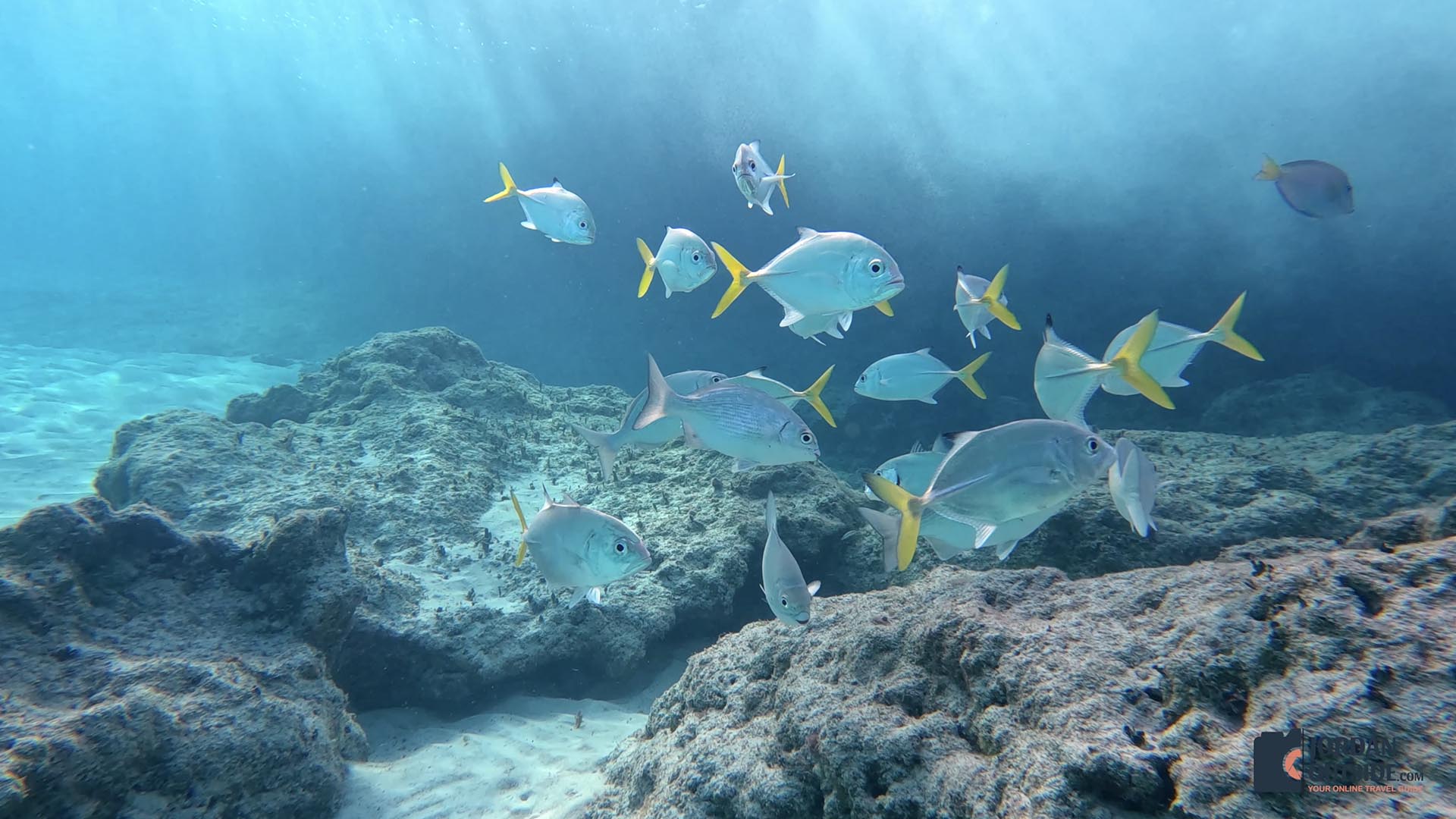 Dean's Blue Hole, Long Island, Bahamas