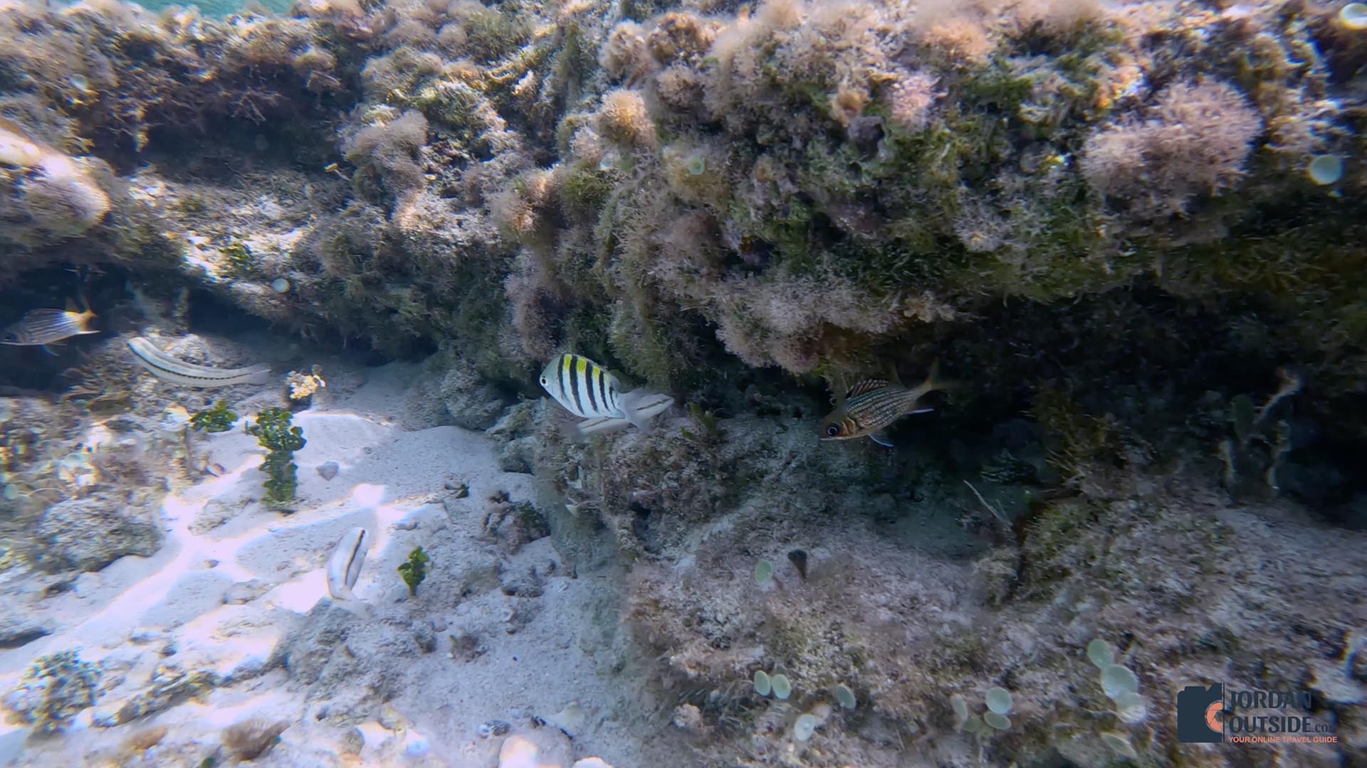 Dean's Blue Hole, Long Island, Bahamas
