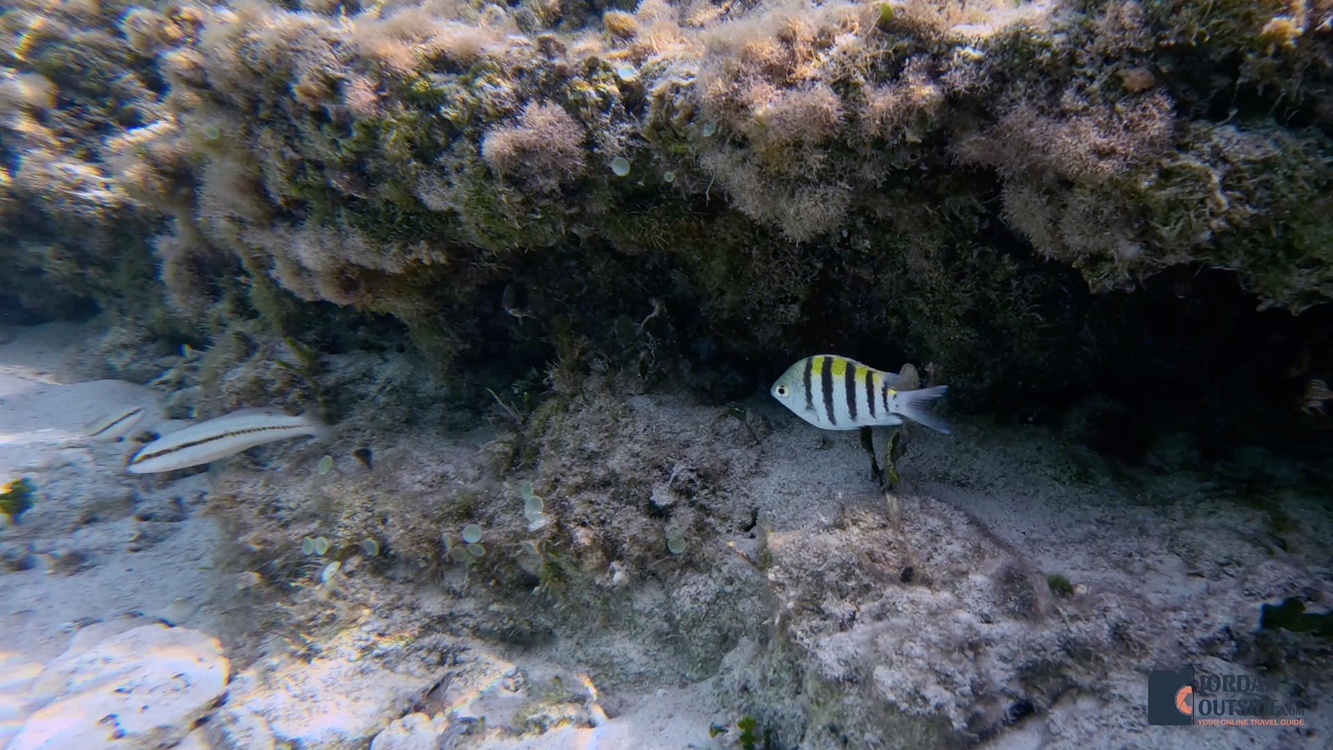 Dean's Blue Hole, Long Island, Bahamas