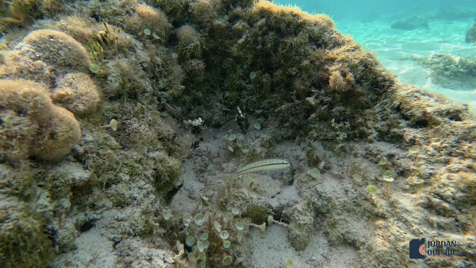 Dean's Blue Hole, Long Island, Bahamas