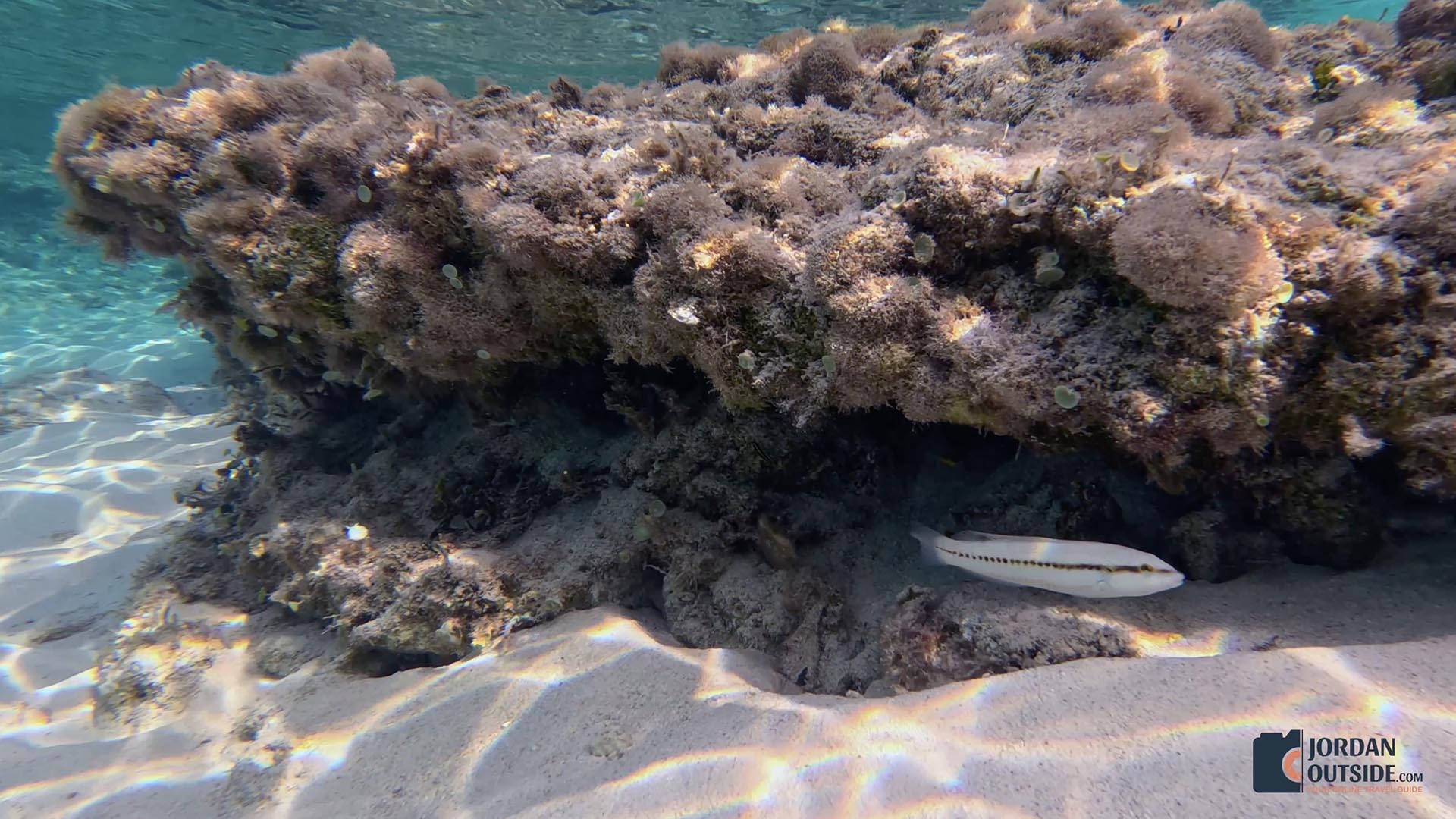 Dean's Blue Hole, Long Island, Bahamas
