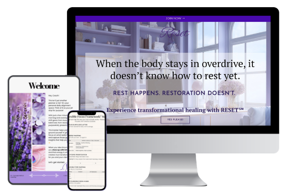 The Synergies RESET℠ Program