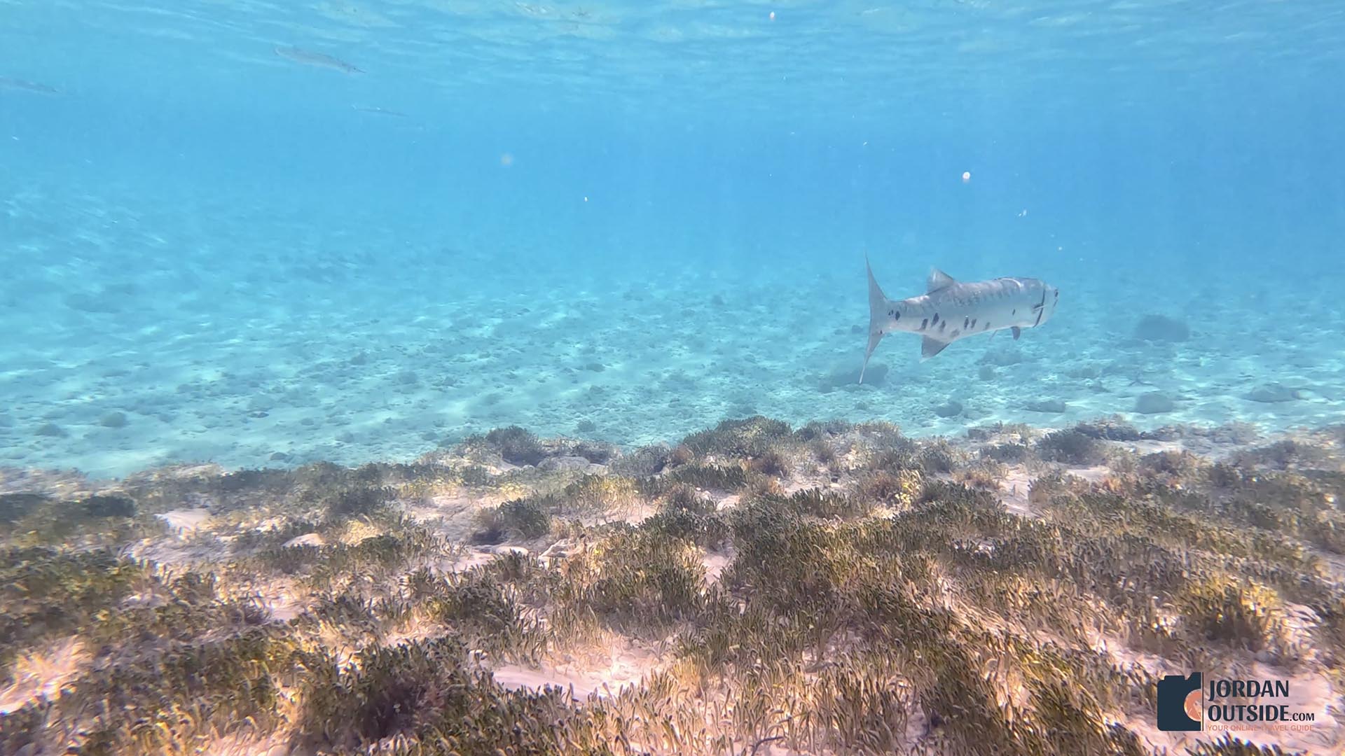 Galloway Beach, Long Island, Bahamas