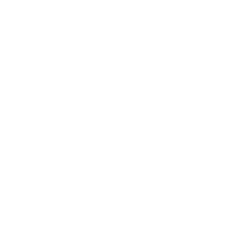 Beautiful LIfe Fitness Logo